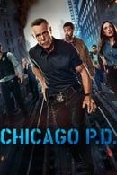 Season 12 - Chicago P.D.