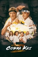 Season 6 - Cobra Kai