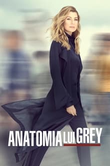 Anatomia lui Grey