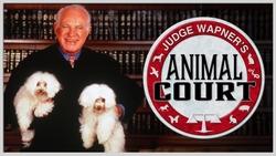 Judge Wapner's Animal Court